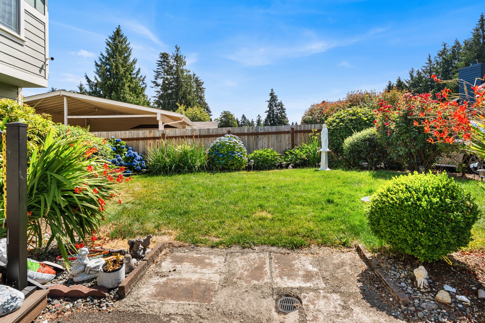 Backyard